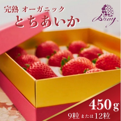 【有機JAS認証】オーガニック生いちご とちあいか 9粒または12粒 450g