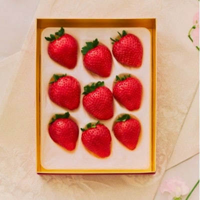 【有機JAS認証】オーガニック生いちご とちあいか 9粒または12粒 450g