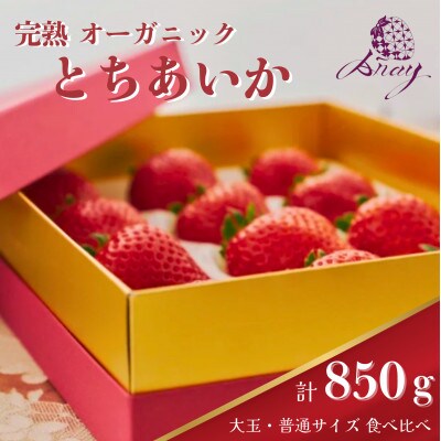 【有機JAS認証】オーガニック生いちご とちあいか 大玉・普通サイズ食べ比べ 計850g