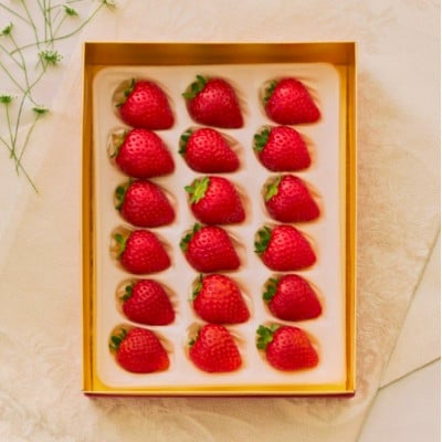 【有機JAS認証】オーガニック生いちご とちあいか 大玉・普通サイズ食べ比べ 計850g