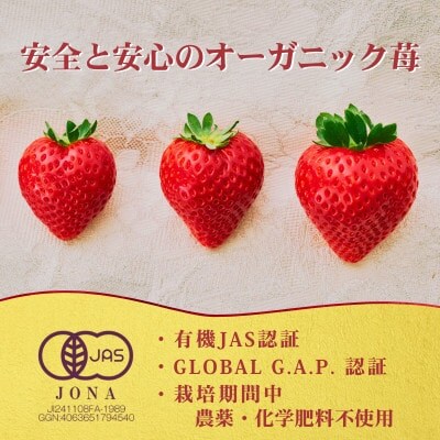 【有機JAS認証いちご使用】冷凍いちご とちあいか  450g×2パック (計900g)