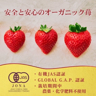 【有機JAS認証いちご使用】冷凍いちご とちあいか  450g×6パック (計2700g)
