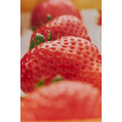 【有機JAS認証いちご使用】冷凍いちご とちあいか  450g×6パック (計2700g)