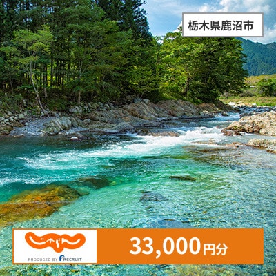 【じゃらんふるさと納税クーポン】 栃木県鹿沼市でつかえる33,000円 クーポン