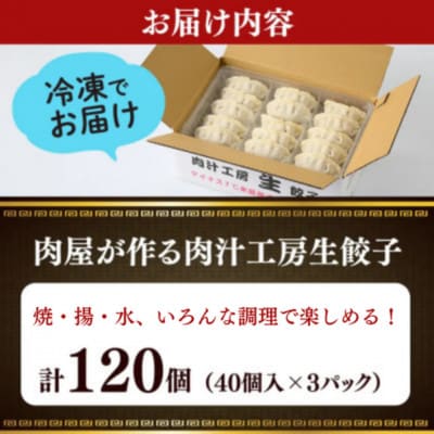 冷凍 生餃子 大人のピリ辛 肉屋の餃子(40個入り) 3パック