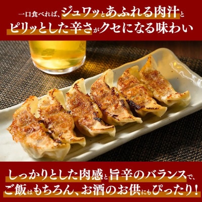 冷凍 生餃子 大人のピリ辛 肉屋の餃子(40個入り) 1パック
