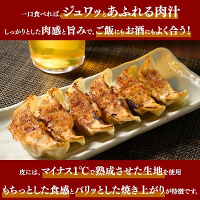 冷凍 生餃子 肉屋の餃子(45個入り) 2パック