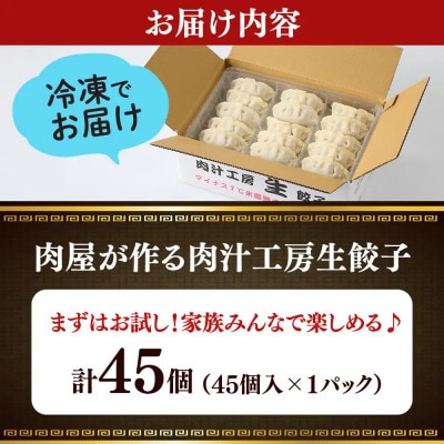 冷凍 生餃子 肉屋の餃子(45個入り) 1パック