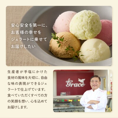 山形ジェラート 12個 詰合せ ( 6種類 各 2個 100ml /個 ) 