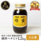 【国産 純粋はちみつ】そば蜂蜜 1.2kg 鹿児島産 加藤養蜂場
