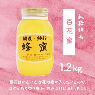 【国産 純粋はちみつ】百花蜂蜜 1.2kg 鹿児島産 加藤養蜂場
