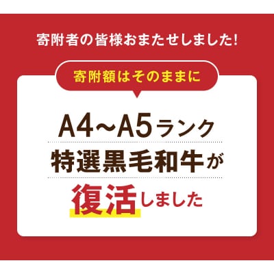 定期便12回 A4～A5等級 黒毛和牛切り落とし1kg(500g×2P)_S001-001-T12A