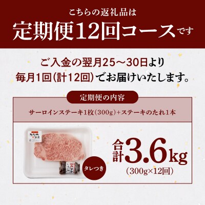 【定期便12回】A4～A5等級黒毛和牛サーロインステーキ1枚300gたれ付_S001-022-T12