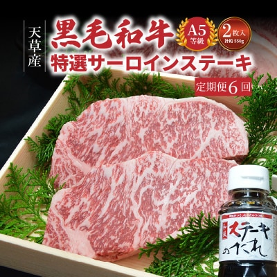 【定期便6回】天草産 黒毛和牛 A5等級 特選サーロインステーキ 2枚_S001-015-T06