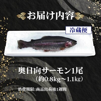 【ふるさと納税】清らかな水と寒暖差の大きな山地の気候で大切に育てられた「奥日向サーモン」魚 海鮮 