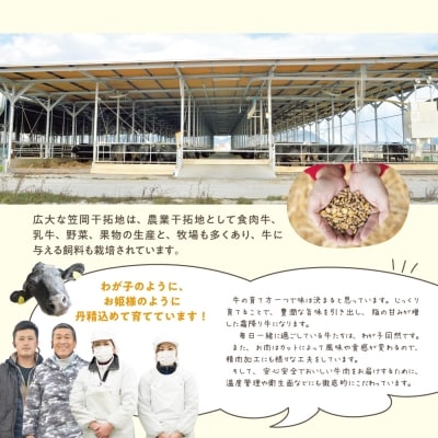 瀬戸の姫(焼肉用)300g　A-09