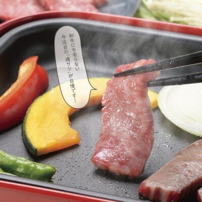 瀬戸の姫(焼肉用)300g　A-09