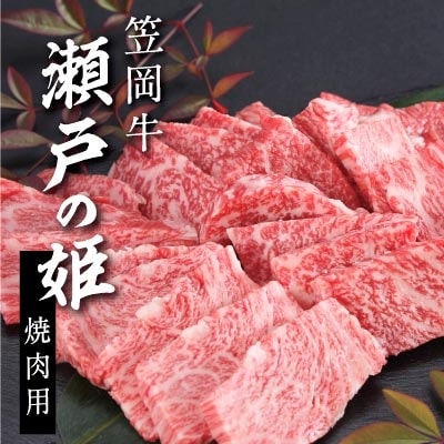 瀬戸の姫(焼肉用)　B-07