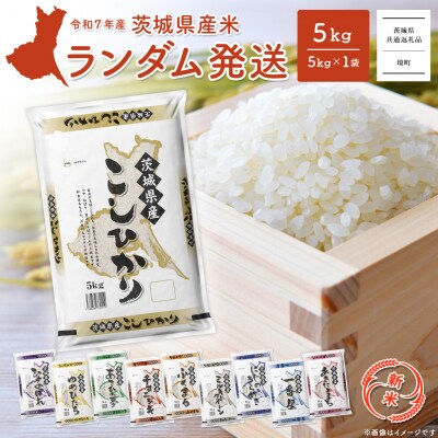 【新米先行受付!!】〈令和7年9月内発送〉令和7年産  ランダム 白米 5kg  茨城県産