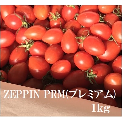 ZEPPIN PRM(プレミアム)1kg　A-183a