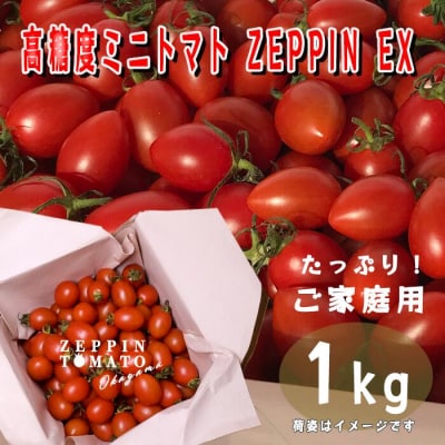 ZEPPIN EX(エクセレント)1kg C-39a