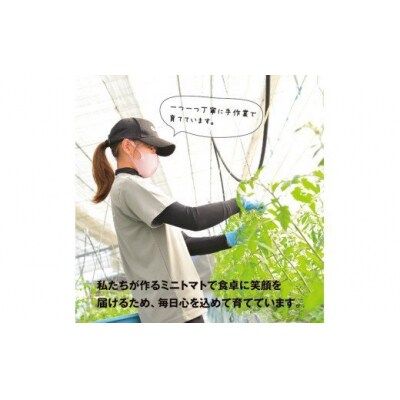 ZEPPIN EX(エクセレント)1kg C-39a