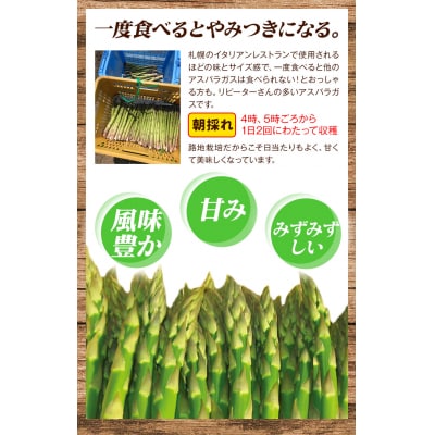 ステビア栽培グリーンアスパラ1.5㎏高橋幸治≪5月下旬-6月中旬頃出荷≫