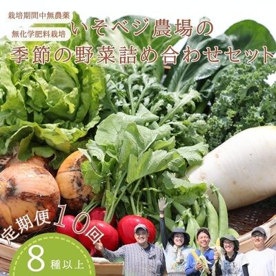 【先行受付・2025年発送】いそベジ農場の季節の野菜詰合せセット　定期便　10回〔IV-10〕