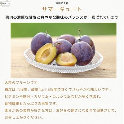 【先行受付・2025年発送】りんごやSUDA　旬のりんご・生プルーン・ジュース定期便〔RS-12〕