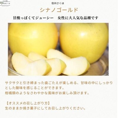 【先行受付・2025年発送】りんごやSUDA　旬のりんご・生プルーン・ジュース定期便〔RS-12〕