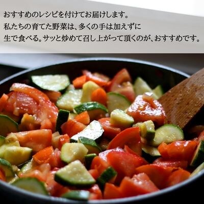 【先行受付・2025年発送】いそベジ農場の季節の野菜詰合せセット　定期便　12回〔IV-12〕