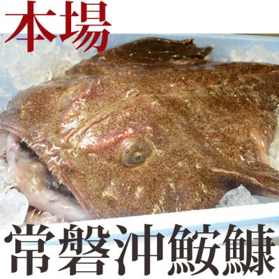 【9月発送】常陸沖のあんこう鍋セット(3～4人前)