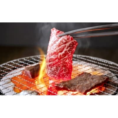 【常陸牛】焼肉セット 約900g(茨城県共通返礼品)