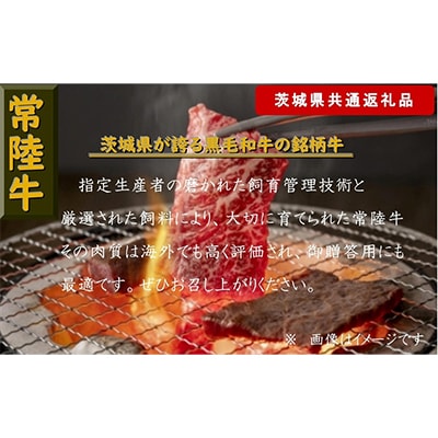 【常陸牛】焼肉セット 約900g(茨城県共通返礼品)