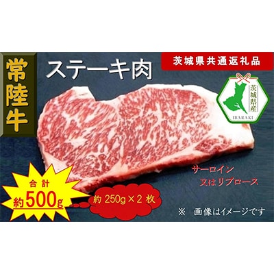 【常陸牛】ステーキ用肉 約500g(茨城県共通返礼品)