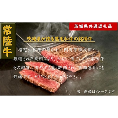 【常陸牛】ステーキ用肉 約500g(茨城県共通返礼品)