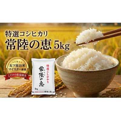【令和7年産】特選こしひかり　常陸の恵5kg