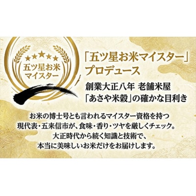 【令和7年産】特選こしひかり　常陸の恵5kg