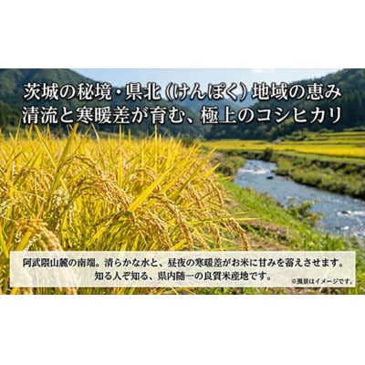 【令和7年産】特選こしひかり　常陸の恵5kg