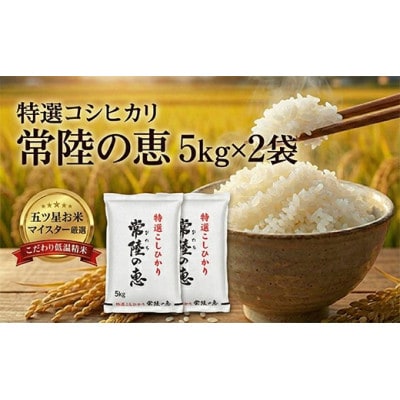 【令和7年産】特選こしひかり　常陸の恵10kg