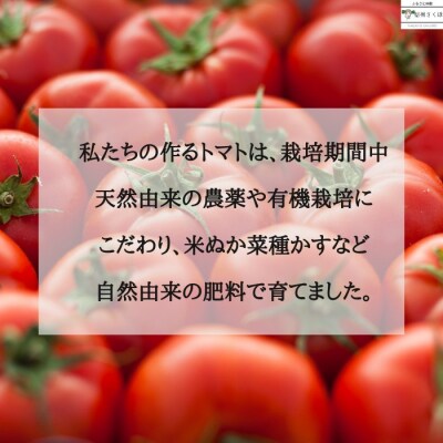 有機トマトだけで作ったトマトジュース　180ml×20本　佐久穂とさや農園〔ST-TJ180-20〕