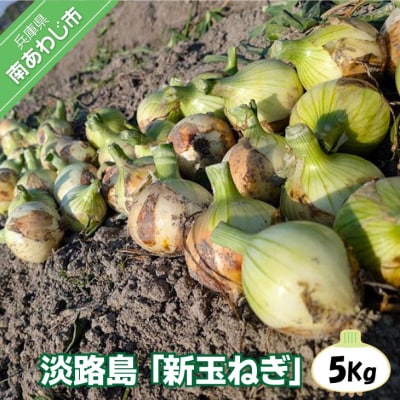 淡路島 「新玉ねぎ」5キロ　なくなり次第終了!