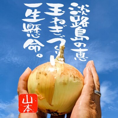 淡路島 「新玉ねぎ」5キロ　なくなり次第終了!
