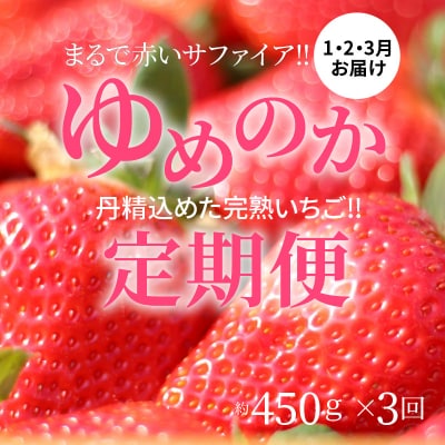 【いちご定期便】(1月2月3月お届け)丹精込めた完熟いちご!!約450g×3回　H130-013
