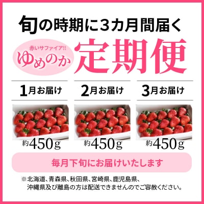 【いちご定期便】(1月2月3月お届け)丹精込めた完熟いちご!!約450g×3回　H130-013