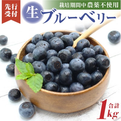 有機肥料で丹精込めて栽培した「ブルーベリー」1kg 栽培期間中農薬不使用 国産_HA0273