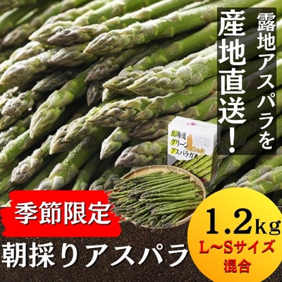 【事前受付】北海道本別町産　「季節限定!朝採りアスパラ　1.2kg」