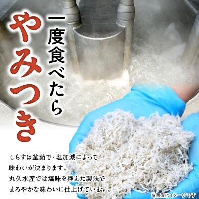 訳あり モリモリ2kg!バラエティ豊富な三河しらす　H018-040
