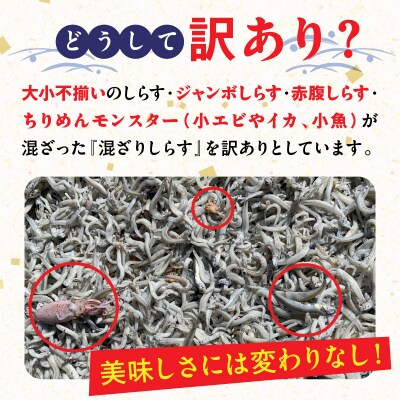 訳あり モリモリ2kg!バラエティ豊富な三河しらす　H018-040