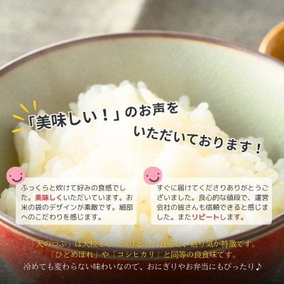 福島県南相馬産「天のつぶ」ふっくらパックごはん150g×24パックライス【0400301】